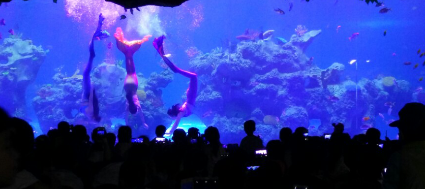 R-14D天方系统发展大会六枝特区无线发射基站